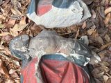 Photo 3/3 du lot