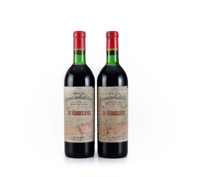 deux bouteilles de vin rouge posées l'une à côté de l'autre sur une surface blanche