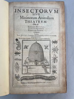 an open book with a drawing of a snake inside of it