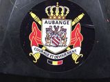 an image of a badge on the back of a car