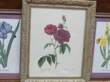 three framed pictures of flowers displayed on a shelf in a room