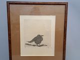 une photo représentant un oiseau posé dans un cadre