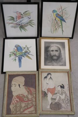 four framed pictures of a man with a bird, a woman with a parrot, and a woman with a parrot