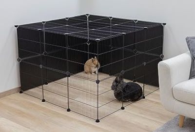 un chien assis dans une cage dans le salon