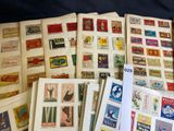 many different types of stamps on the pages of a book