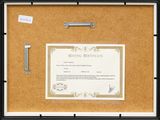 a picture of a picture of a certificate on a bulletin board
