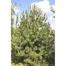 Destockage & Invendus