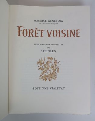 the front cover of a book with a picture of a dragon on it
