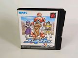 Boîtier de jeu SNK pour le jeu Nintendo « Super Street Fighter II »
