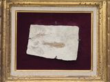 an image of a piece of paper that has been placed in a gold frame