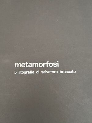 une photo d'un livre intitulé « Metamortosii »