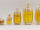 Plusieurs flacons de parfum sont alignés sur une surface blanche