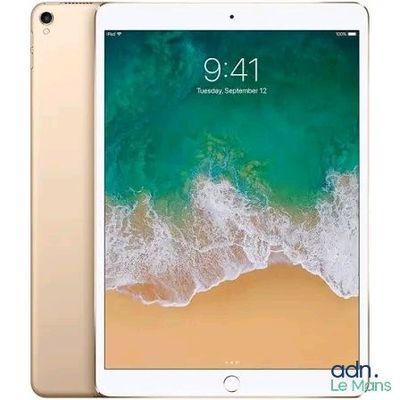 Apple iPad Air 2 64 Go Wi-Fi doré