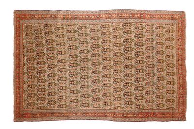 un tapis ancien avec un motif floral sur fond blanc