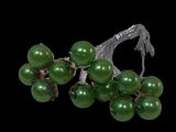 a bunch of green grapes on a branch on a black background