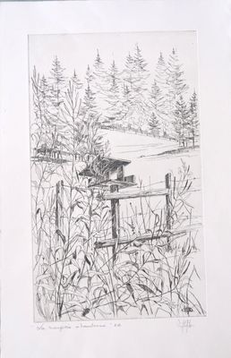 un dessin représentant un nichoir au milieu d'un champ