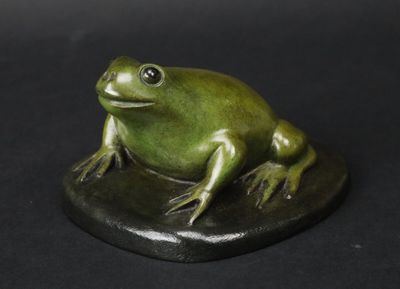 une grenouille verte assise sur un rocher, sur fond noir