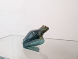 statue of a frog sitting on a glass table with a white wall in the background
