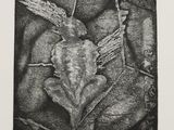 an image of a black and white drawing of a leaf with a bird on it