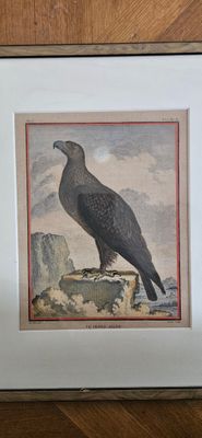 a picture of a bird that is sitting on a table