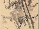 une photo en noir et blanc représentant une plante et un oiseau