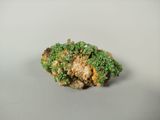 un petit morceau de brocoli posé sur une surface blanche