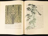 an open book with a picture of a plant on it