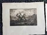 deux photos en noir et blanc d'un arbre au milieu d'un champ