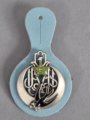 une image représentant un insigne surmonté d'une étoile verte