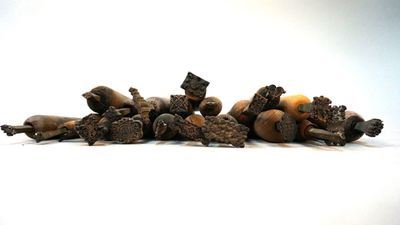 a pile of nuts and acorns on a white surface