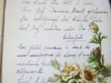 an open book with a drawing of flowers and writing on it