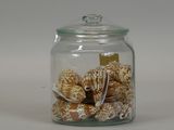 a glass jar filled with shells on a white surface