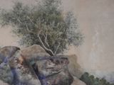 a painting of a bear sitting on a rock with a tree in the background