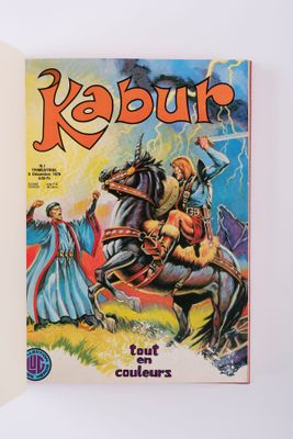 la couverture d'un livre sur laquelle figure l'image d'un chevalier à cheval