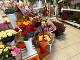 many different types of flowers on display in the store