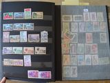une personne tenant un livre sur lequel figurent des timbres