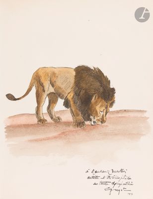 painting of a lion standing in the sand with its head down
