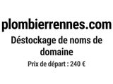 Photo 1/1 du lot