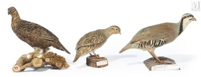 trois figurines d'oiseaux empilées les unes sur les autres