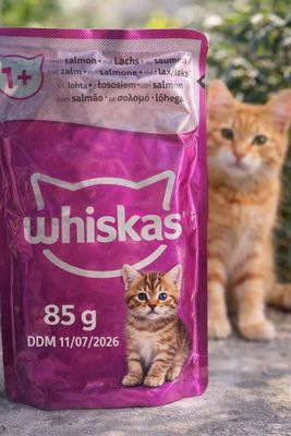 Lot d'environ 160 sachets de whiskas chat saumon de 85 gr DDM 11/07/20 - Photo 1