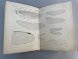 an open book with drawings of different types of wings