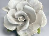 a white rose that is sitting on a table