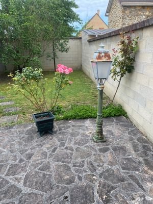 a potted plant in the corner of a stone patio