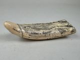 a small piece of ivory with writing on it