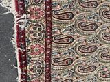 an oriental rug with a paisley design and fringes on it