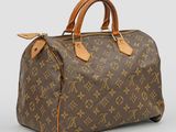 louis vuitton speedy bag