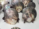 Photo 11/11 du lot