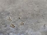 a dog paw prints on the metal surface of a table