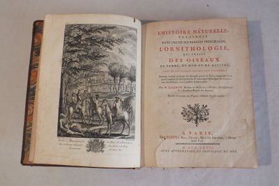 SALERNE (François), RAY (John) : « L'Histoire Naturelle, écl…