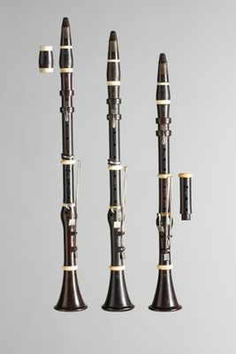 trois types différents de clarinettes sont alignés sur un fond gris